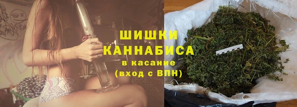 дживик Баксан