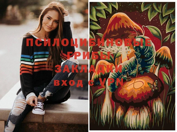 дживик Баксан