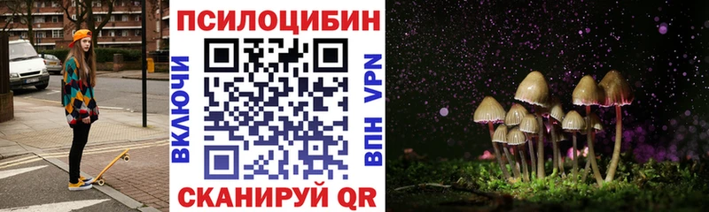 наркотики  Малмыж  Псилоцибиновые грибы прущие грибы 